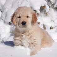 Korre神 - steam id 76561199203304600