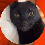 Блядский хутор