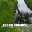 blin_emae