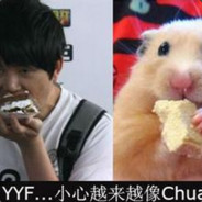 在？为什么不ban猛犸？