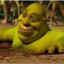 krispe