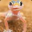 GeckoOne1