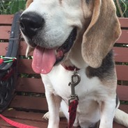 電銲少年每晚哭紅了眼