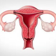 小姐姐让我进去暖暖屌*