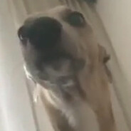 pvrepowered.pro | spajk