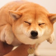 Bzeeb