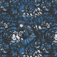 岩迟雀氏有点高