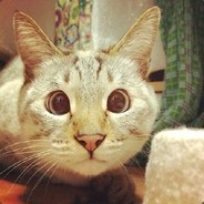 不就是菜吗？谁不是