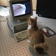 Doom - steam id 76561197965463049