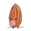 Almond Cow