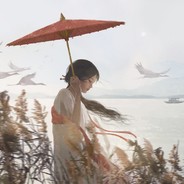 是小范吖