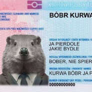 Bóbr kurwa avatar