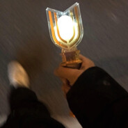 随机赢对500+-海豹杀手