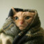 Lewddy