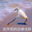 戚之临村