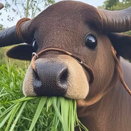 Your mom loves to eat big dicks