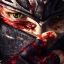 Ninja Gaiden