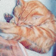 :+ JANUSZCOGO500$ :*