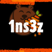 1ns3z