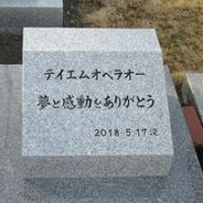 T.M. Opera O from real life