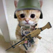 catzuCASE.GIFT - steam id 76561199478807684