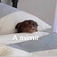 Soneca
