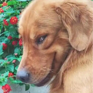 凡尔赛幼儿园第一辅助