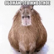 Посудомойка_BOCH