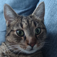 John Baldur's Gate 3