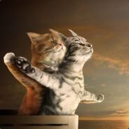 阳光突然好温柔