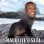 Shaquille OSeal