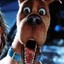 Scooby-Doo