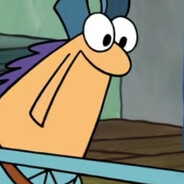 非洲毛里求斯道德败坏的绿毛电龟