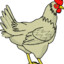 Revan_the_Chicken