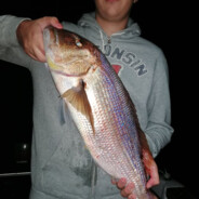 dvsstavros - steam id 76561198331210722