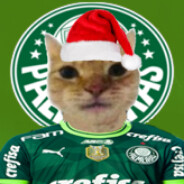 gatinho PALMEIRENSE