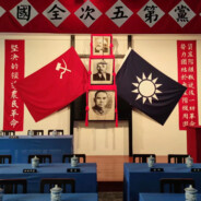 杀我自动下载小鸟壁纸