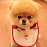 我住隔壁我姓王