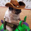 Steam avatar