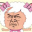 金甲战士美羊羊