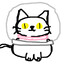 progesterone.princess