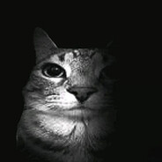 ThatOwlFromPoland's avatar