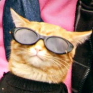 Cool Cat