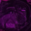 MomoIsHere