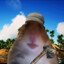 HammyKing