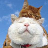 月光下的亮亮虫i