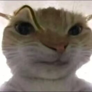 爱玩霰弹枪的三上悠亚