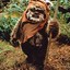 EwokRider