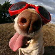 Владосик_клешни