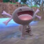 Paldean Wooper